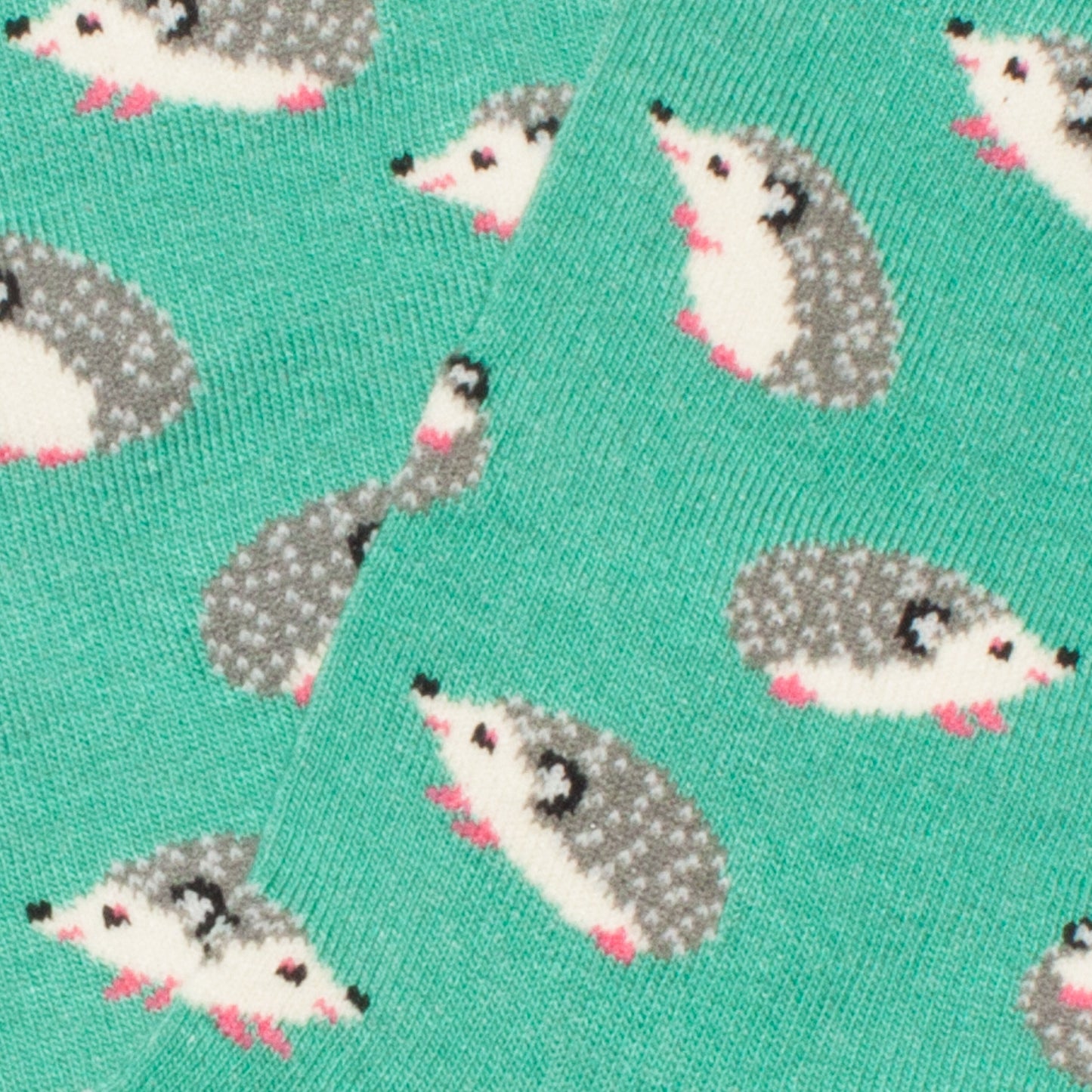 Kids Hedgehog - Turquoise (3)